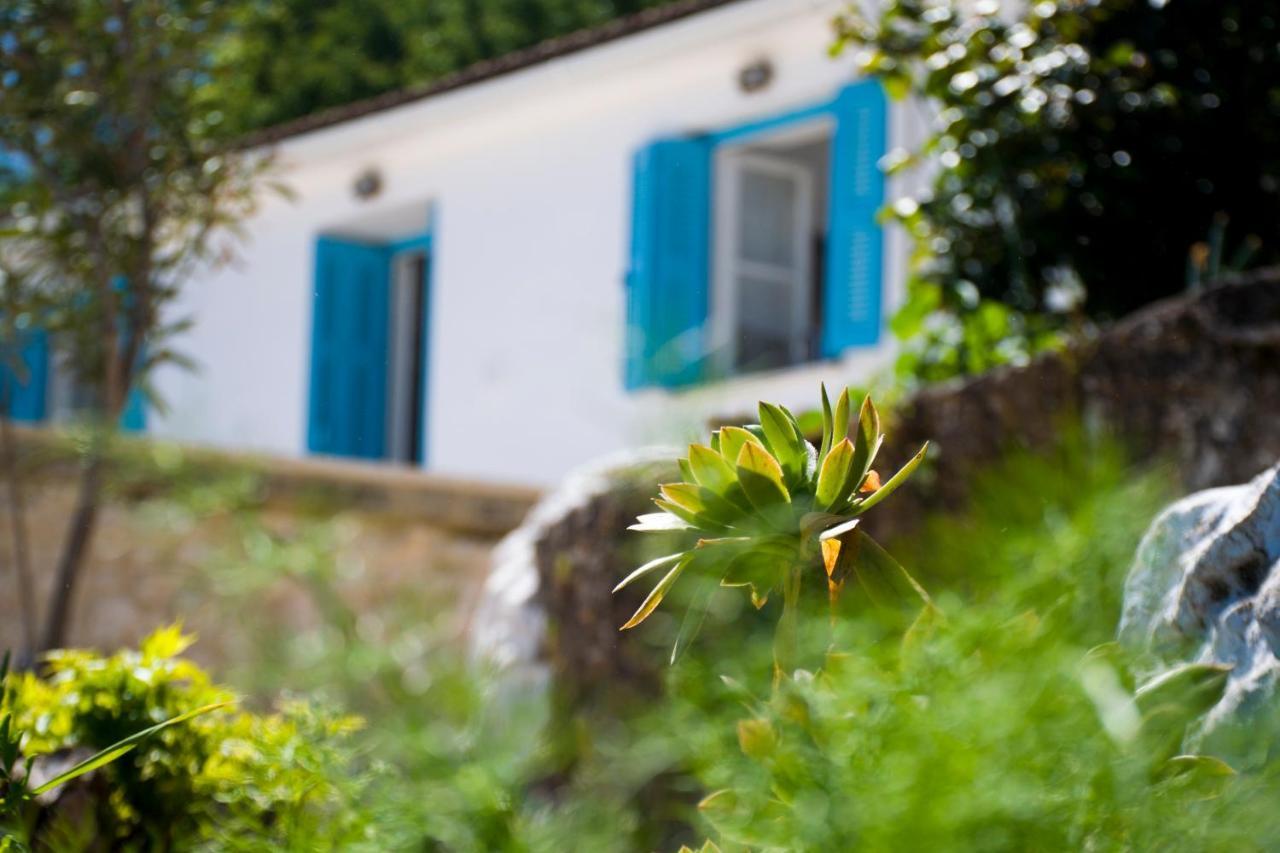 The Olive Cottage - Ithaca Vathy  Exterior foto